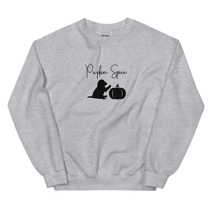 "Pupkin" Spice Sweatshirt